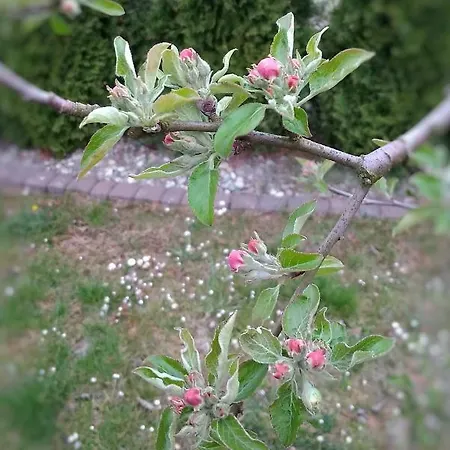 Home&slow Life בית אירוח
