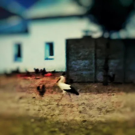 בית אירוח Home&slow Life גדנסק