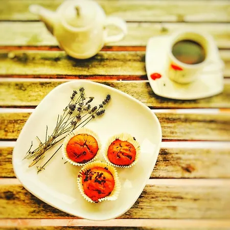 Home&slow Life *